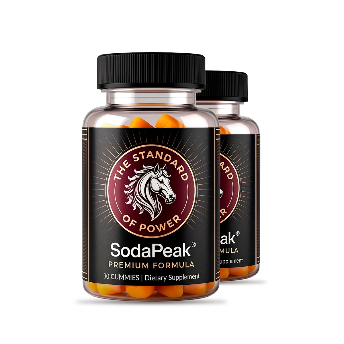 SodaPeak two bottle package